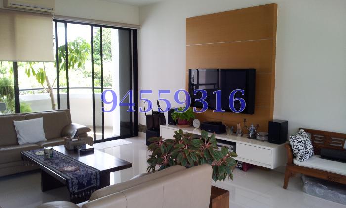 Mandarin Gardens (D15), Condominium #62376632